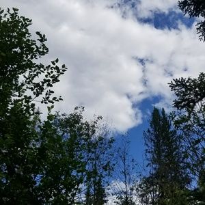 Meet your Posher, Haliah